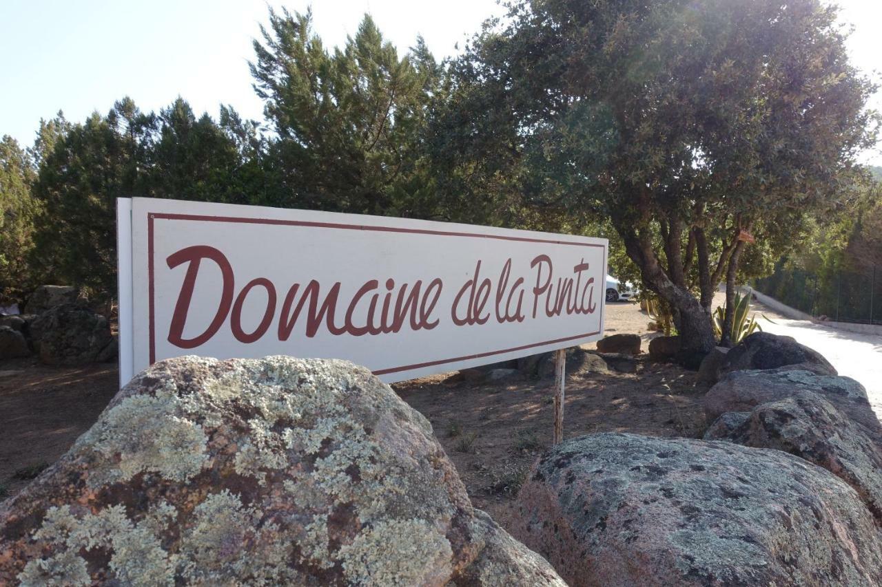 Domaine De La Punta