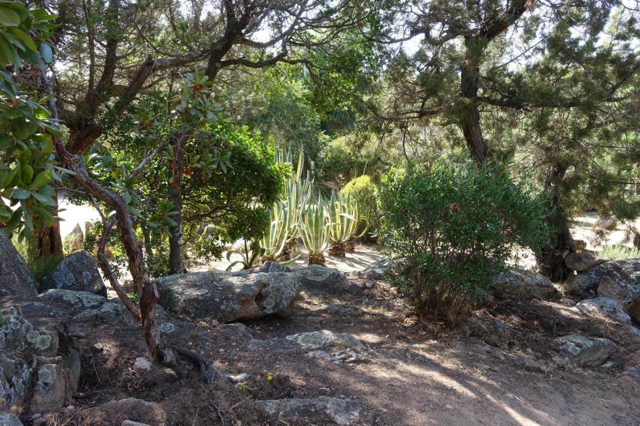 Domaine De La Punta Holiday home *