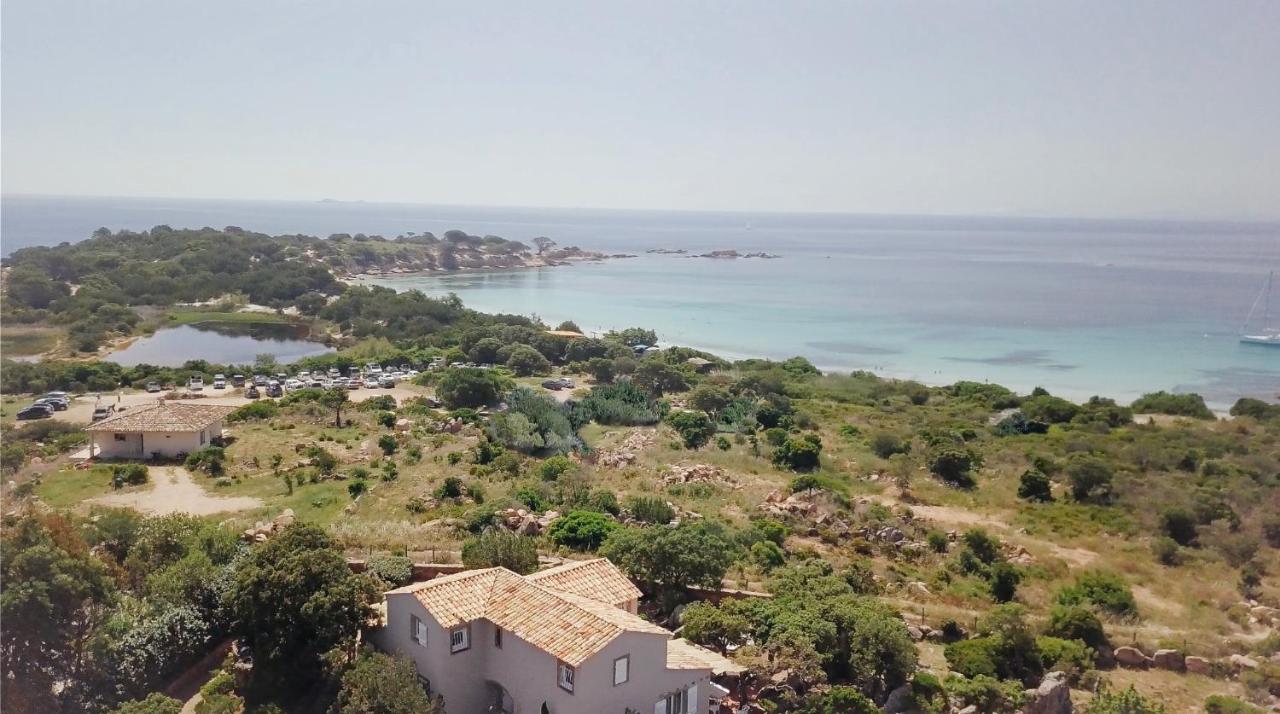 Domaine De La Punta