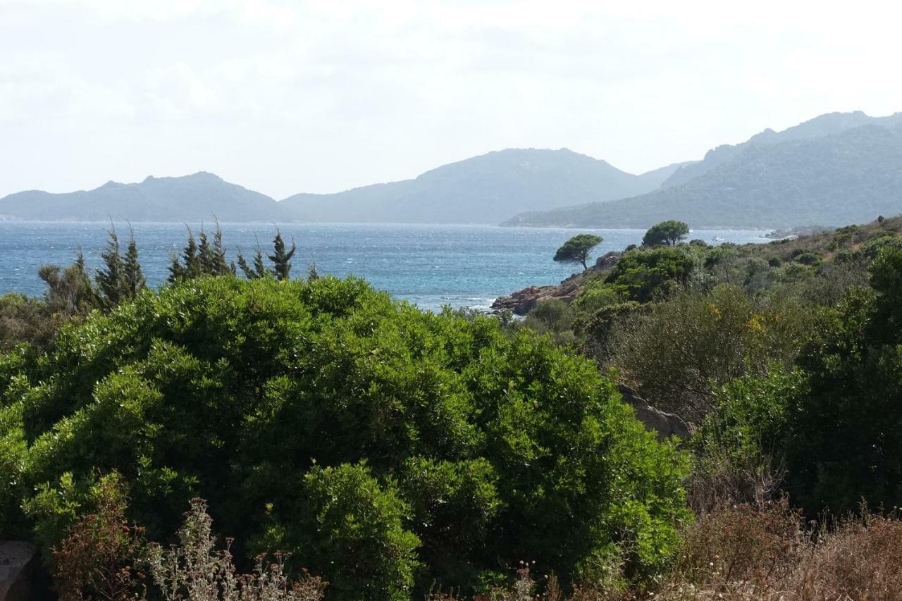 Domaine De La Punta Holiday home *